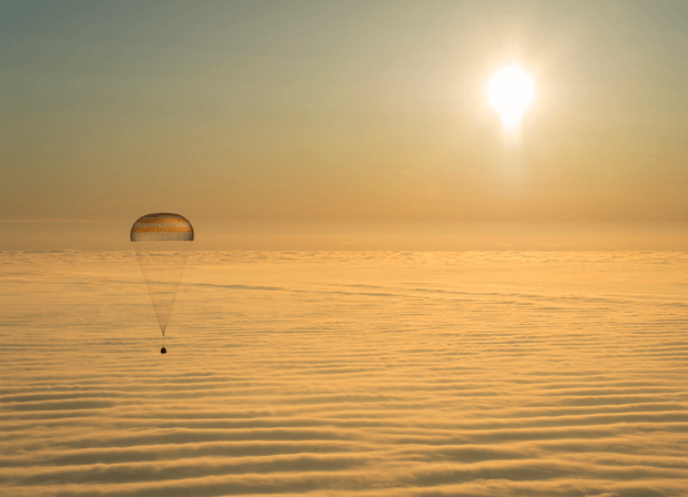 mobilegeddon saviour