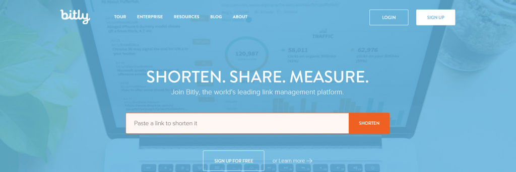 bitly social media