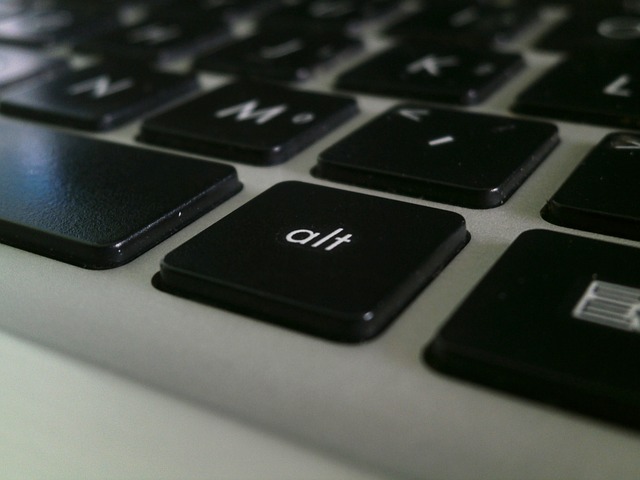 alt images